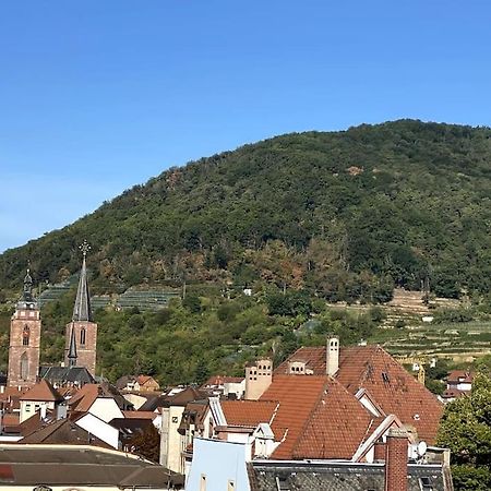 Modernes City-Appartement Neustadt an der Weinstraße 外观 照片