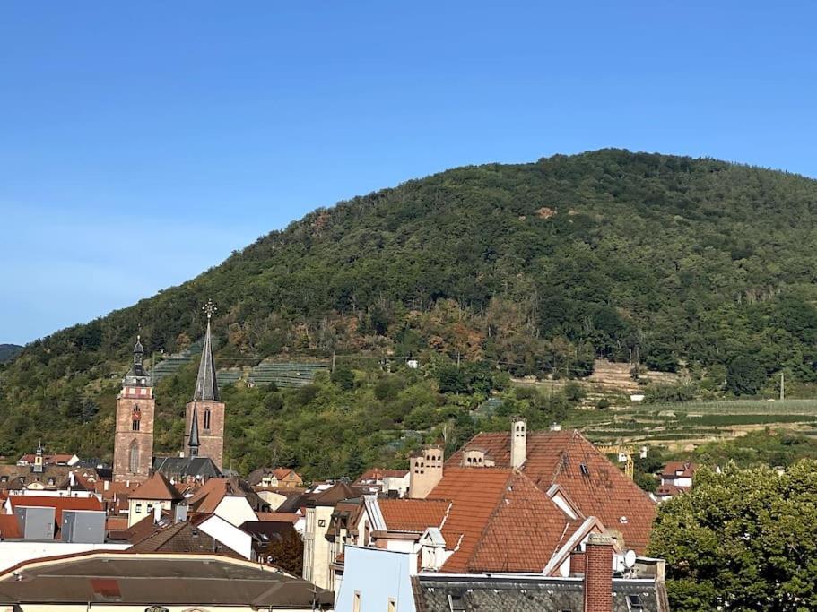 Modernes City-Appartement Neustadt an der Weinstraße 外观 照片
